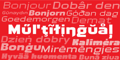 Bast Variable Font Poster 3