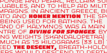 Bast Variable Font Poster 5
