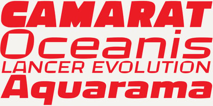 Bast Variable Font Poster 7