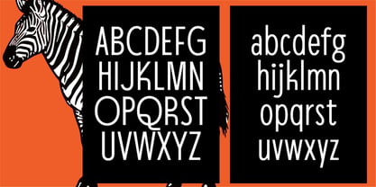 Spektora Font Poster 5