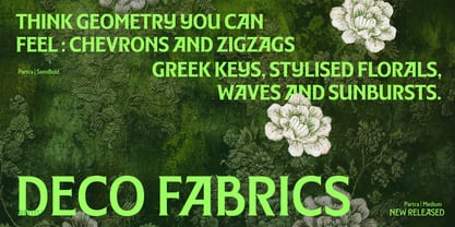 Partra Font Poster 3