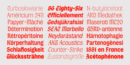 K73 Hogan Grotesk Font Poster 5