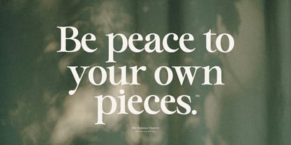 Solance Serif Font Poster 8