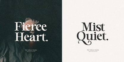 Solance Serif Font Poster 9