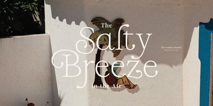 Solance Serif Font Poster 3