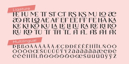 Anger Font Poster 13