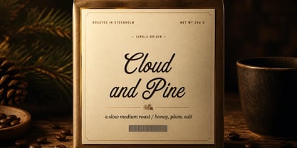 Chapter Twelve Font Poster 4