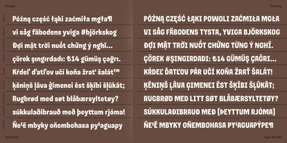 Musgo Font Poster 9
