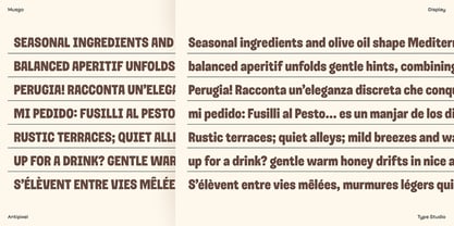 Musgo Font Poster 5