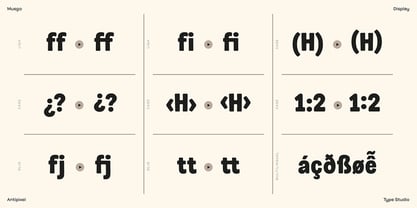 Musgo Font Poster 14
