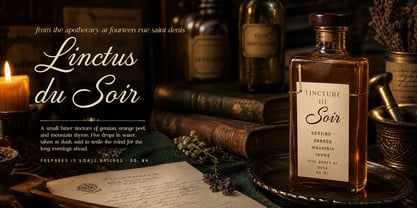 Verandah Reverie Font Poster 4