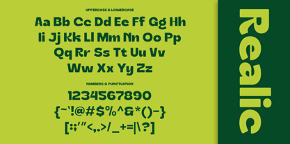 Realic Font Poster 9