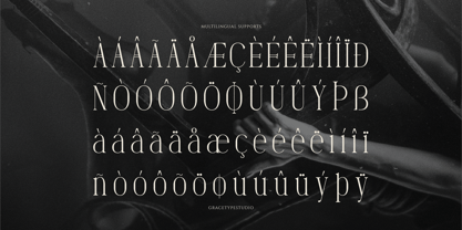 Dennya Font Poster 11