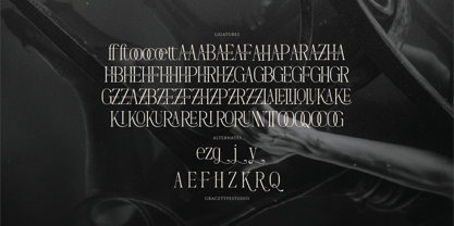 Dennya Font Poster 12