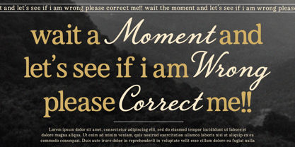 Giacomo Font Poster 6