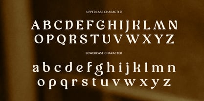 Starley Font Poster 11