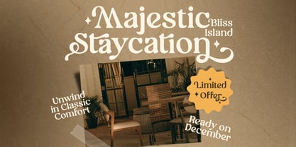 Starley Font Poster 7
