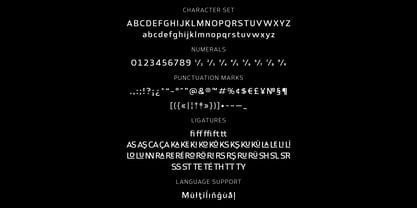 Alphabet Express Font Poster 7