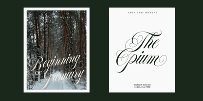 Francy Tiguan Font Poster 7
