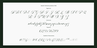 Francy Tiguan Font Poster 11