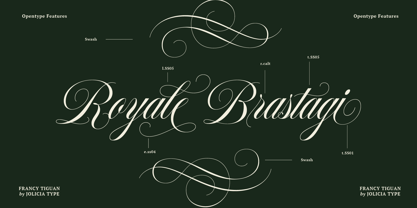 Francy Tiguan Font Poster 2