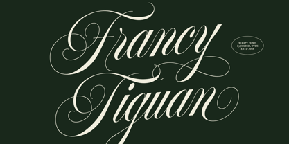 Francy Tiguan Font Poster 1