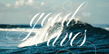 Francy Tiguan Font Poster 8