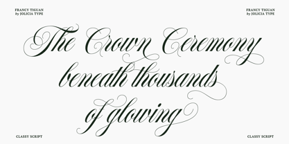 Francy Tiguan Font Poster 10