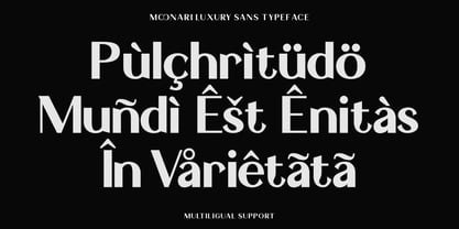 Monari Font Poster 3