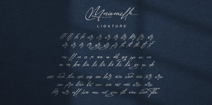 Maisonelle Font Poster 12