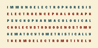 Tachos Font Poster 15