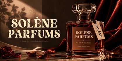 Velour Delamio Font Poster 4