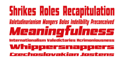 Micher Font Poster 6