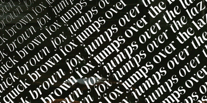 Awesome Gulgina Font Poster 11