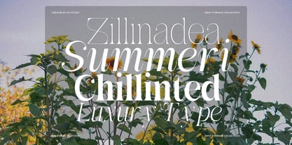 Awesome Gulgina Font Poster 8