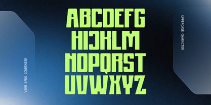 Vion Modern Font Poster 11