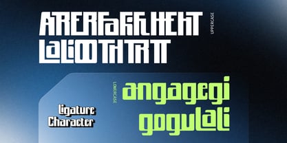 Vion Modern Font Poster 5