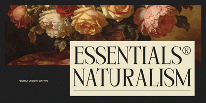 Florea Font Poster 8