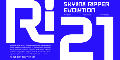Nigera Font Poster 5