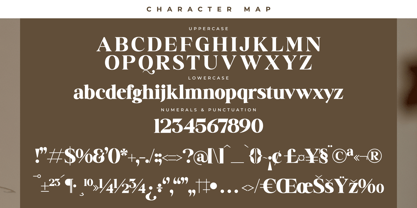 Badilna Font Poster 7