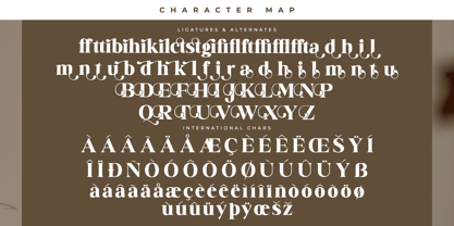 Badilna Font Poster 8