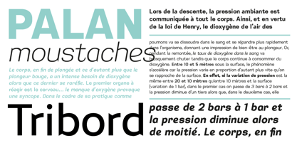 Primaxis Variable Font Poster 6