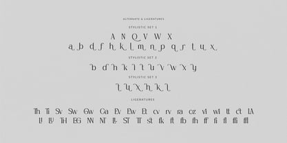 Carfield Font Poster 7