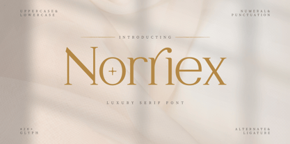 Norriex Font Poster 1