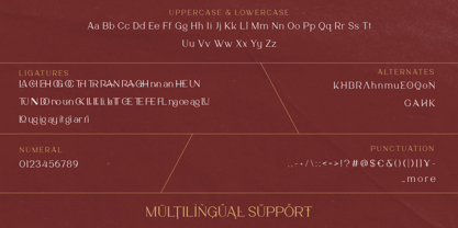 Norriex Font Poster 11