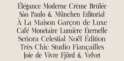 Montegar Font Poster 13