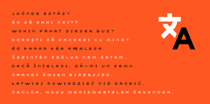 Vivida Font Poster 14