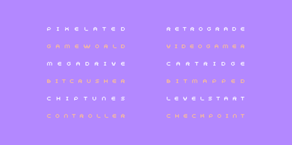 Vivida Font Poster 8