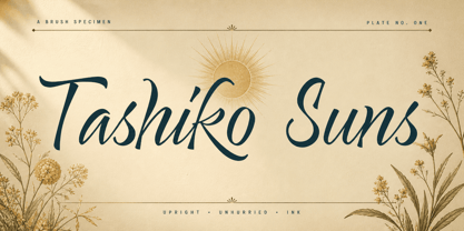 Tashiko Suns Font Poster 2