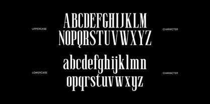 Muzzaro Font Poster 2